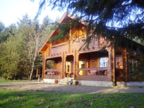Ballyconnell log cabin